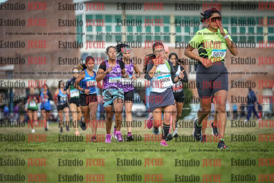 Fotos en el circuito