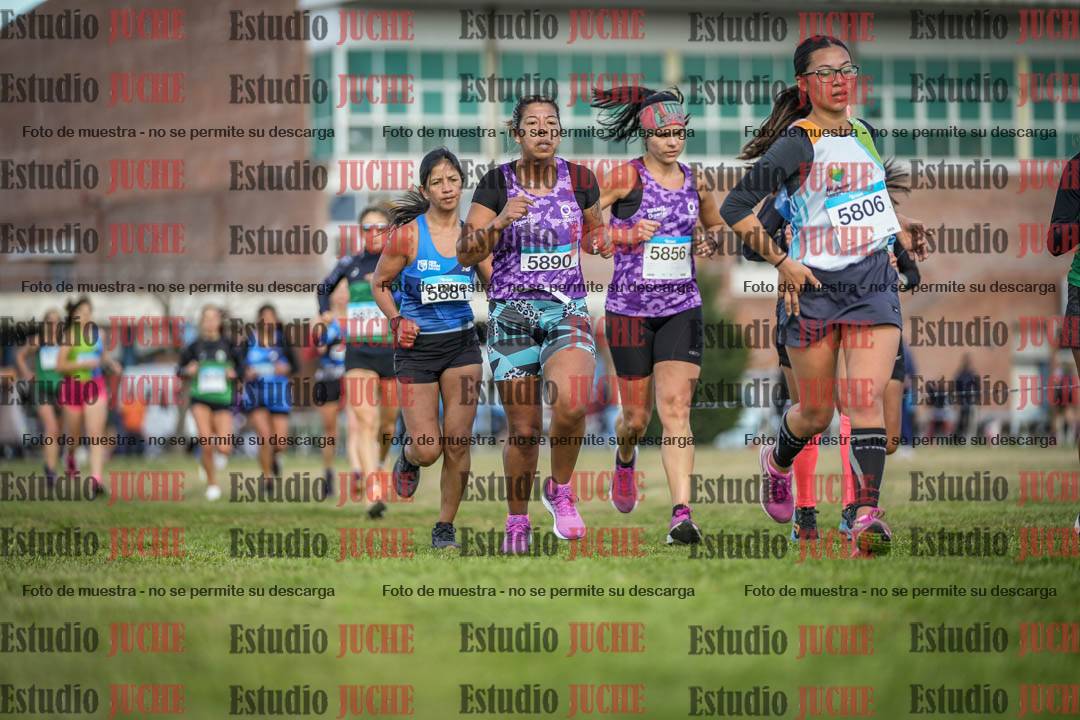 Fotos en el circuito