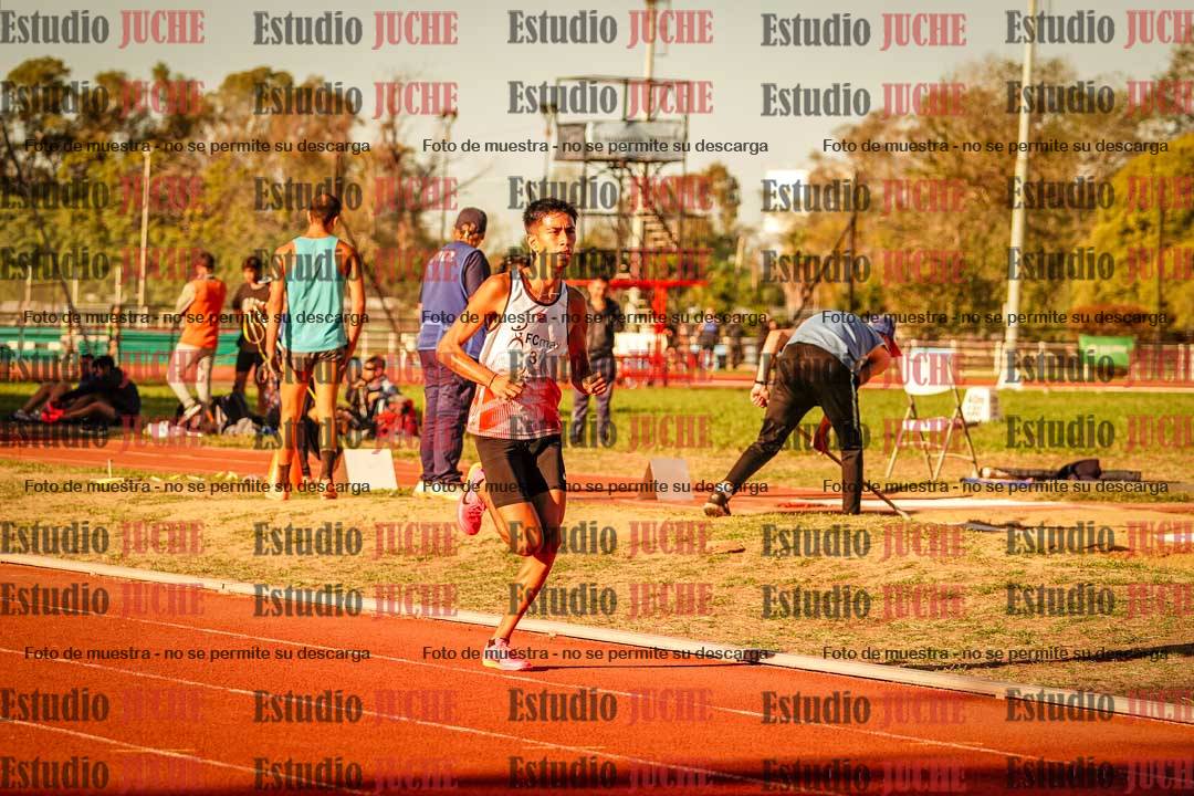 Fotos de los 3000 m llanos de varones