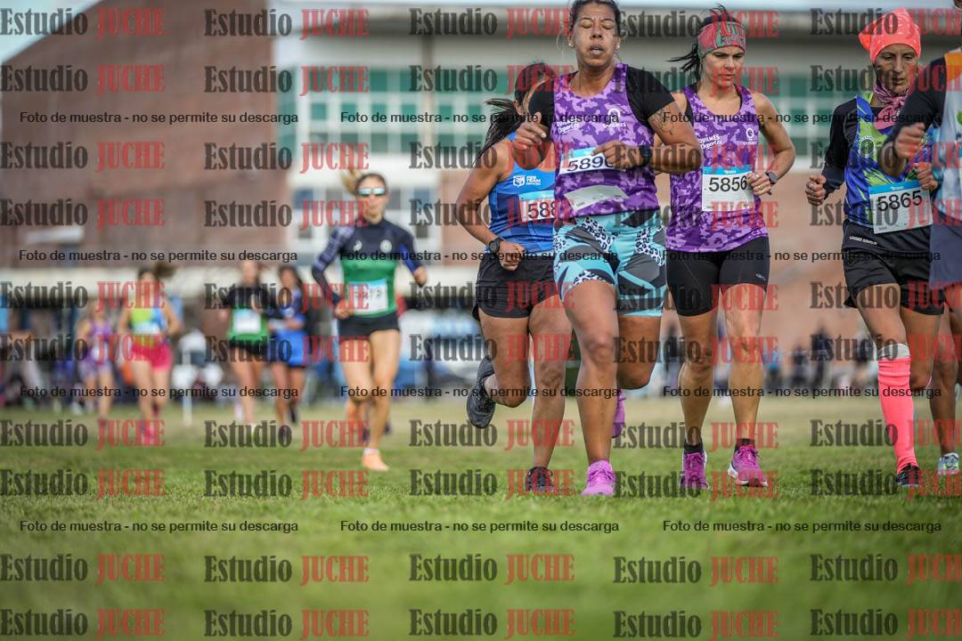 Fotos en el circuito