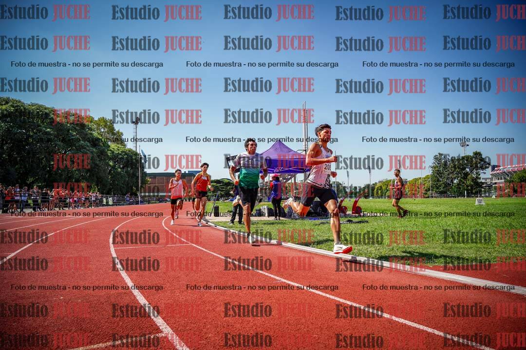 Fotos de los 800 m llanos de varones