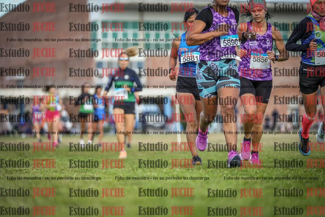 Fotos en el circuito