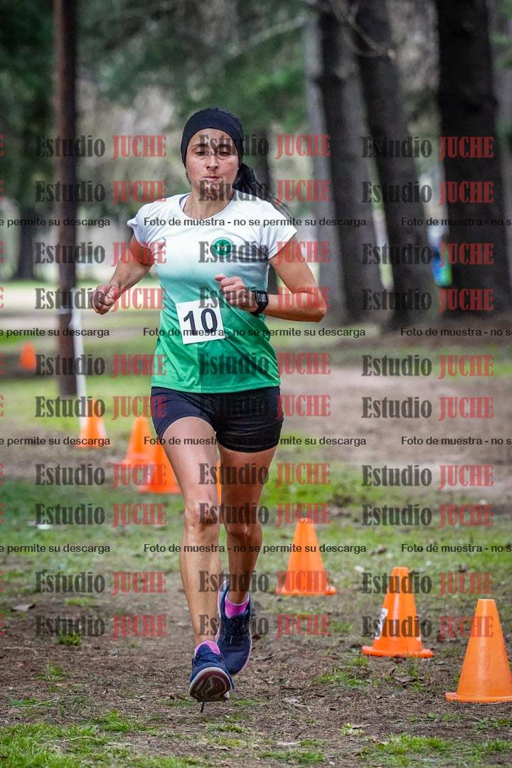 Fotos en el circuito