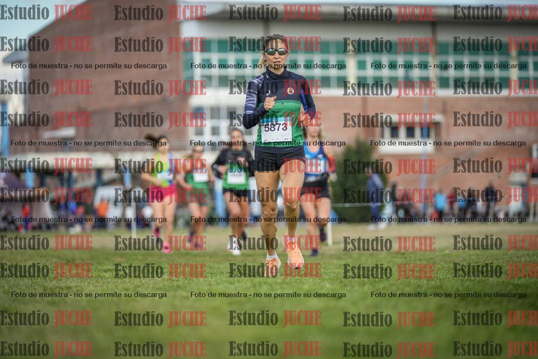Fotos en el circuito