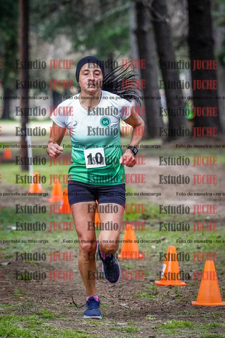Fotos en el circuito