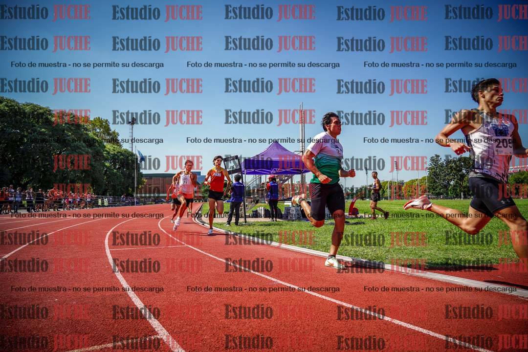 Fotos de los 800 m llanos de varones