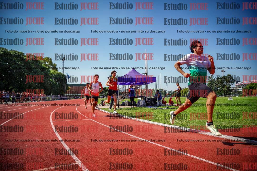 Fotos de los 800 m llanos de varones