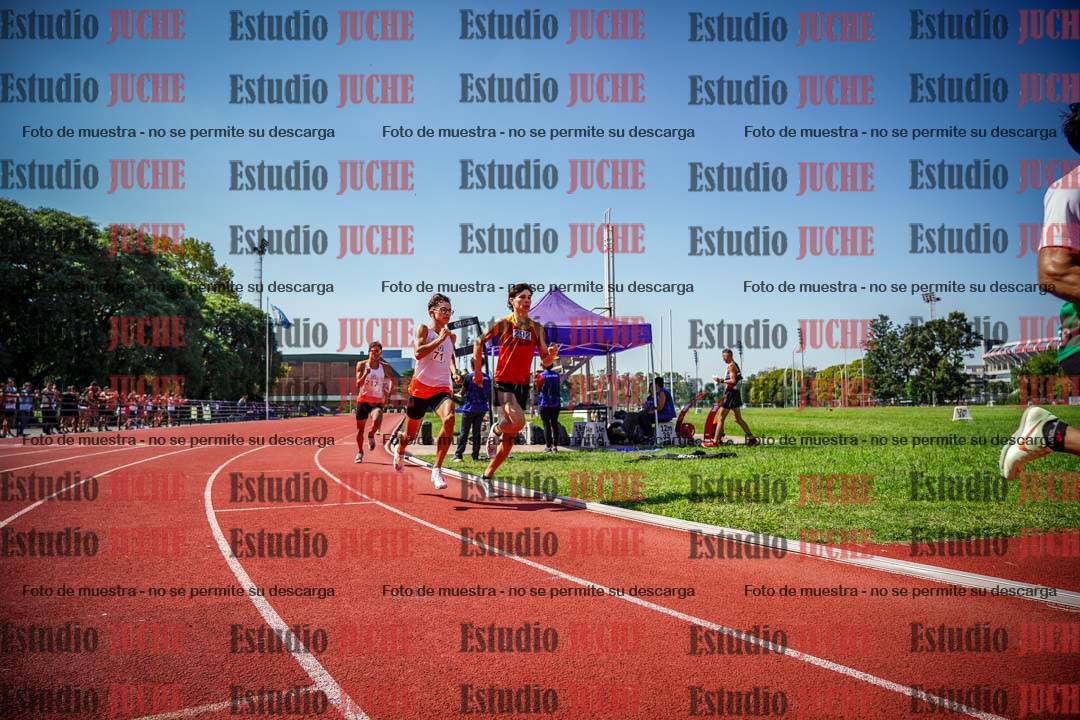 Fotos de los 800 m llanos de varones