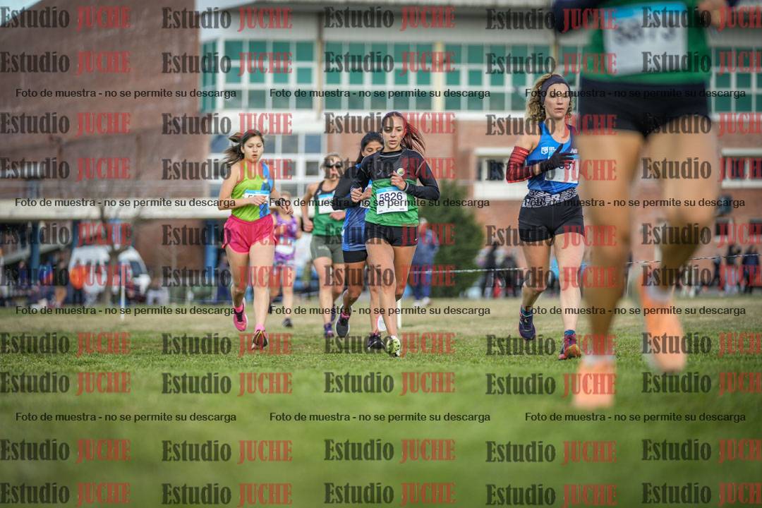 Fotos en el circuito