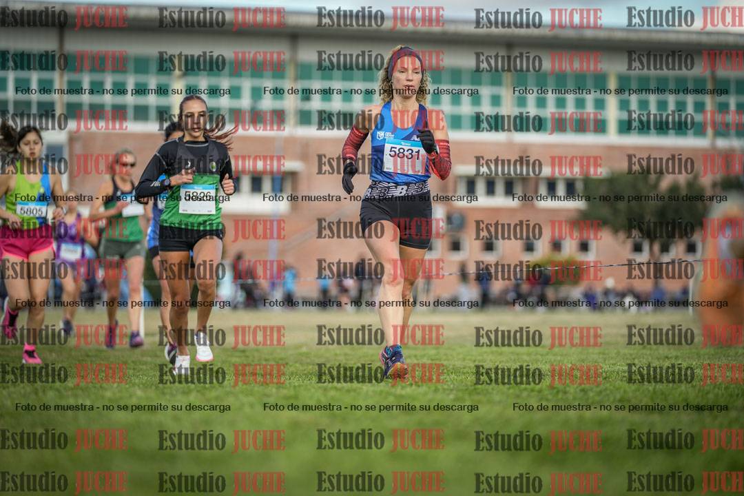 Fotos en el circuito