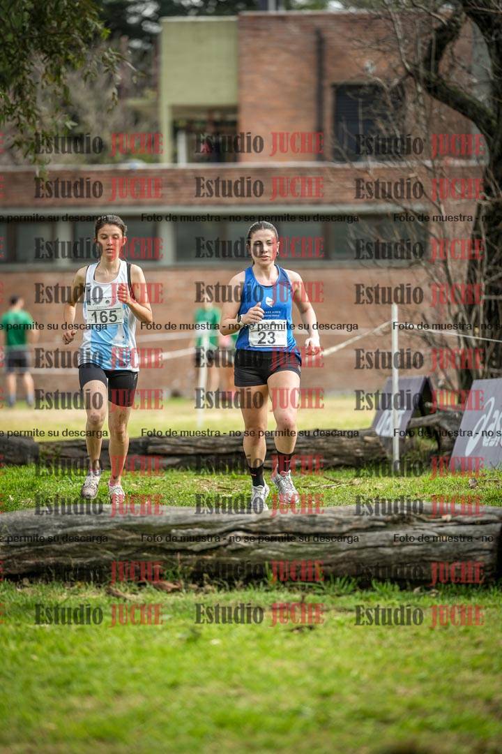 Fotos en el circuito