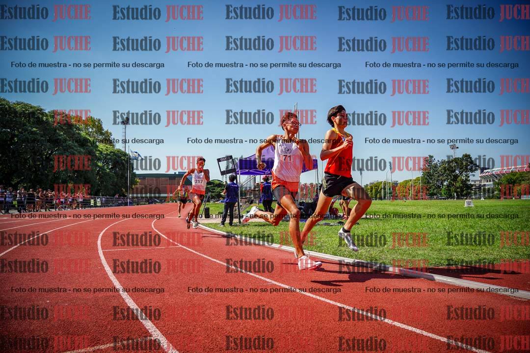 Fotos de los 800 m llanos de varones