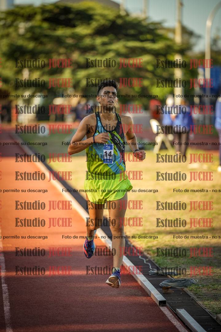 Fotos de los 3000 m llanos de varones