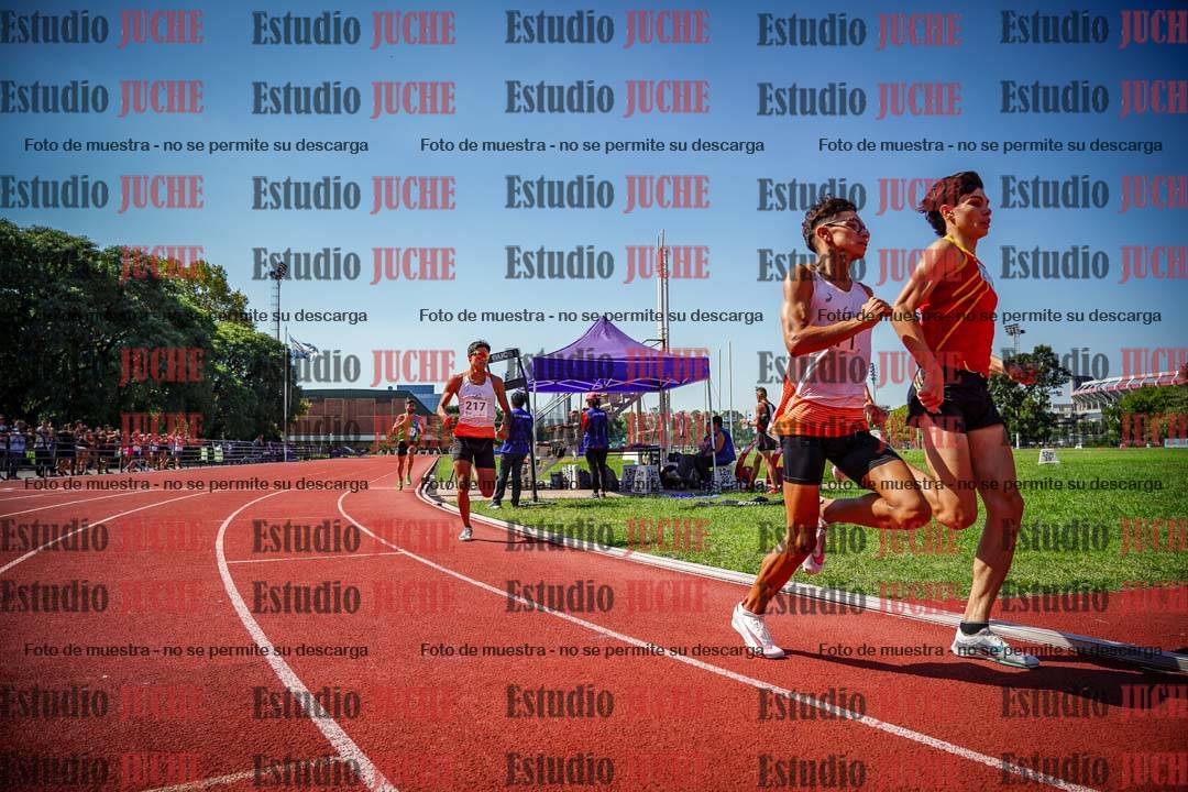 Fotos de los 800 m llanos de varones