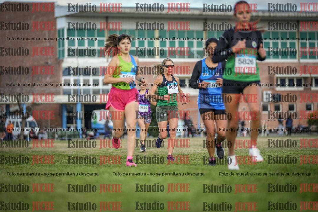 Fotos en el circuito