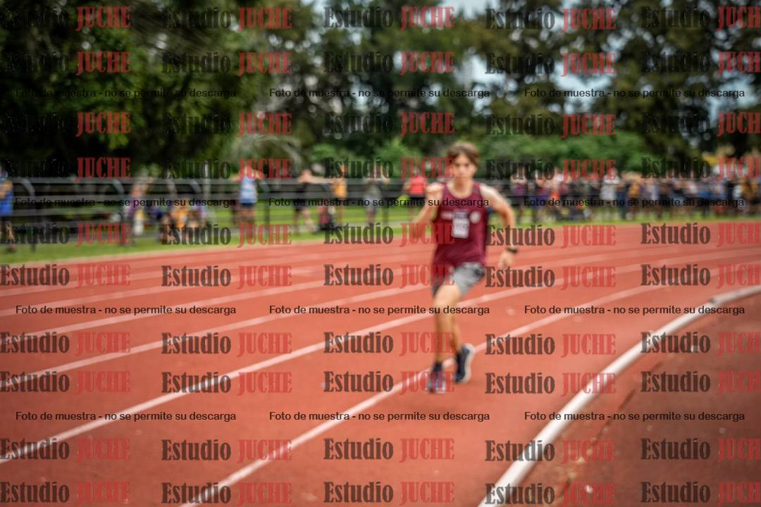 Fotos de los 800 m de varones