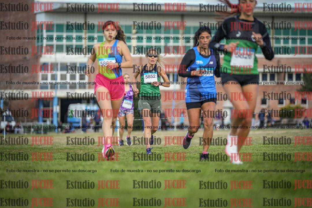 Fotos en el circuito