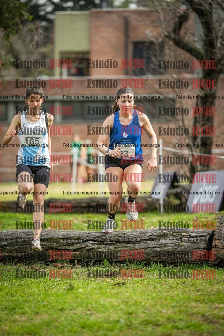 Fotos en el circuito