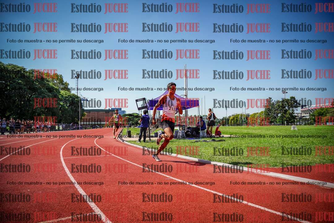 Fotos de los 800 m llanos de varones