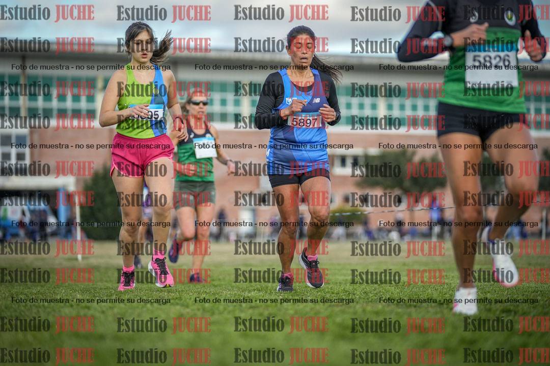 Fotos en el circuito