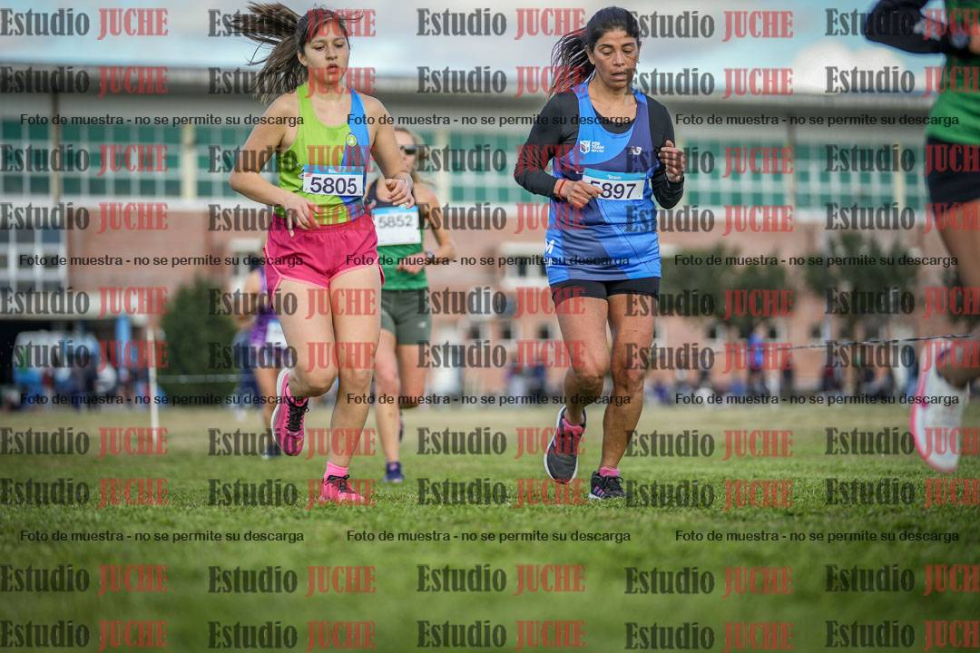 Fotos en el circuito