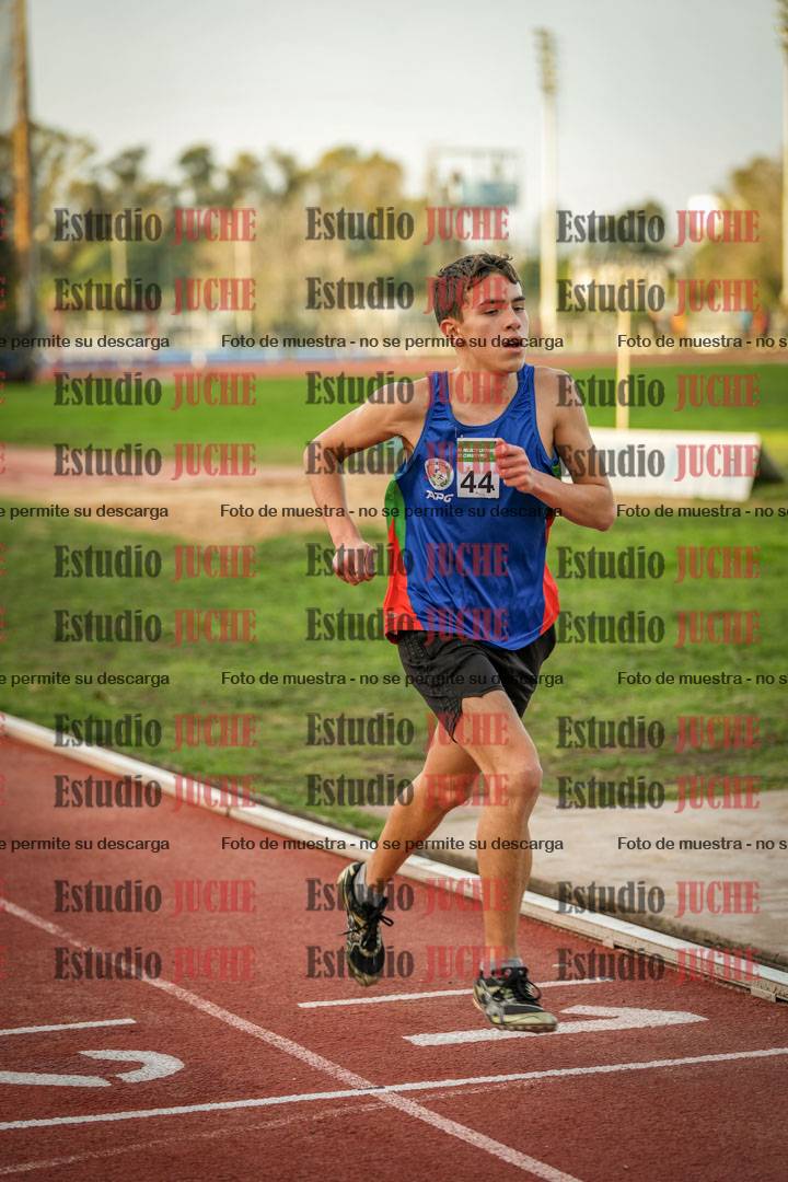 Fotos de los 3000 m llanos de varones