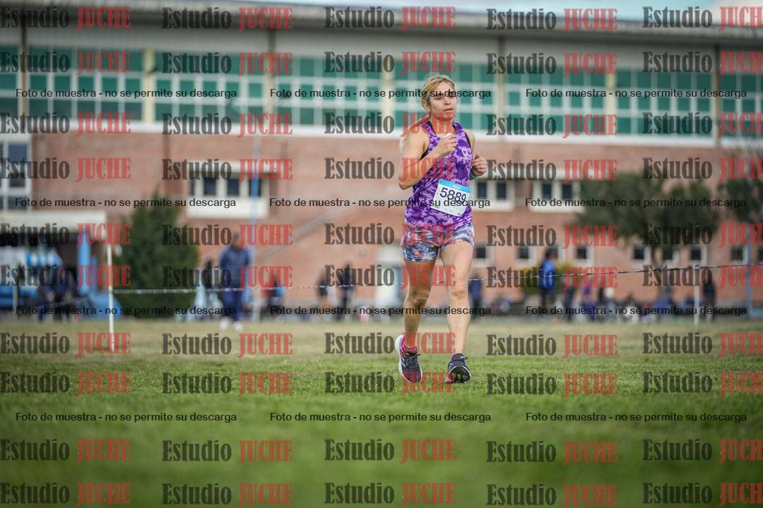 Fotos en el circuito