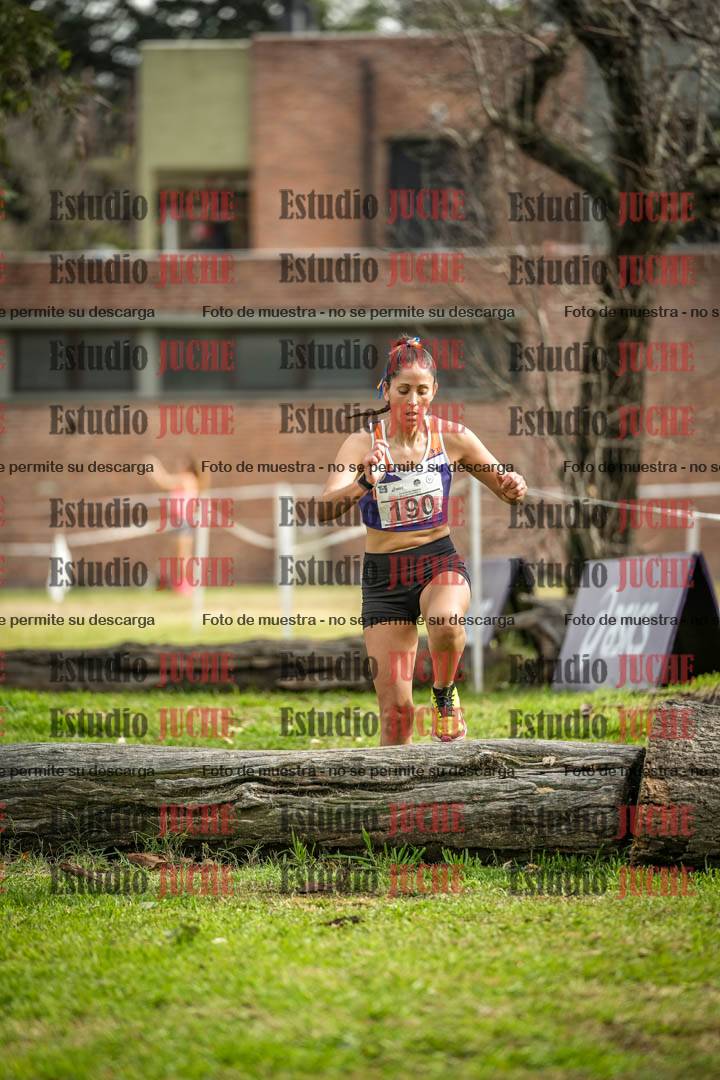 Fotos en el circuito