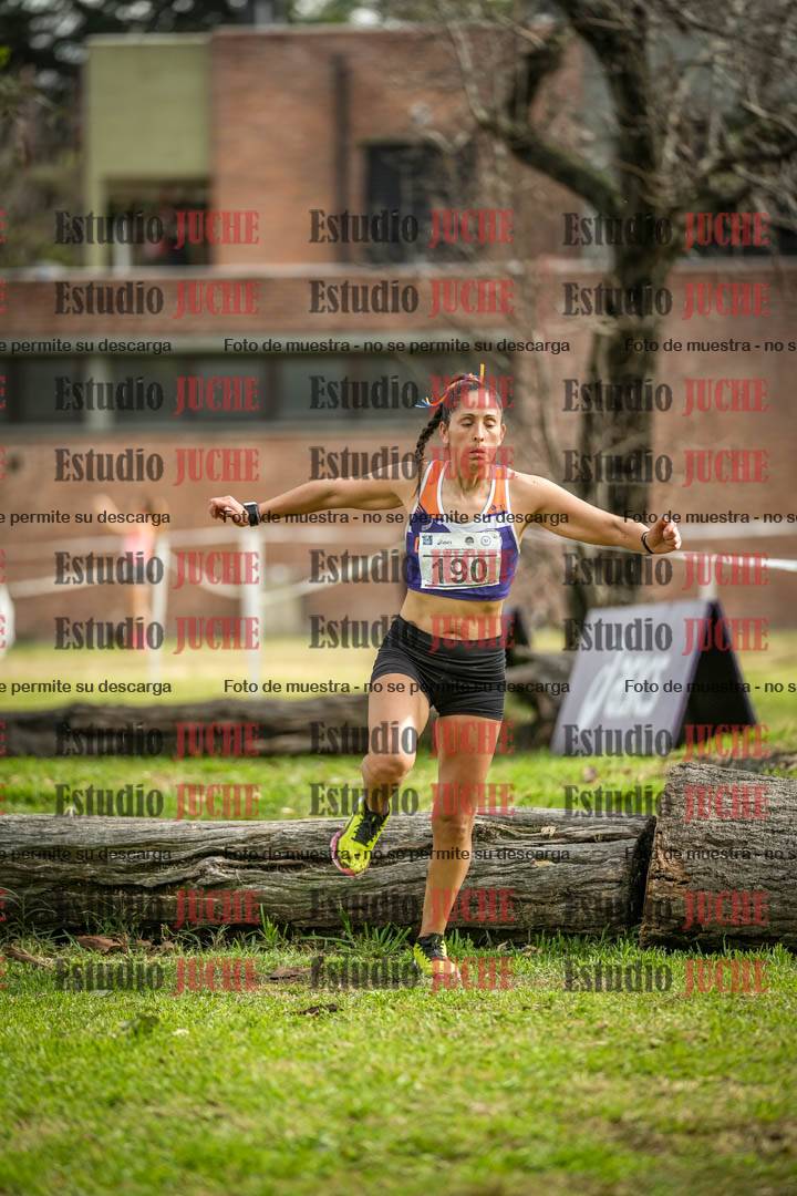 Fotos en el circuito