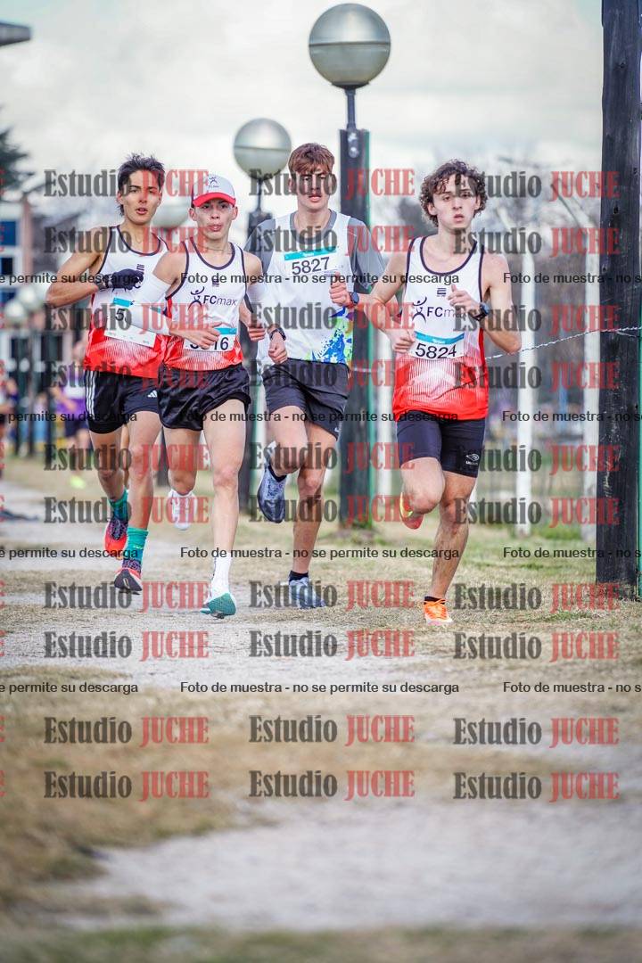 Fotos en el circuito