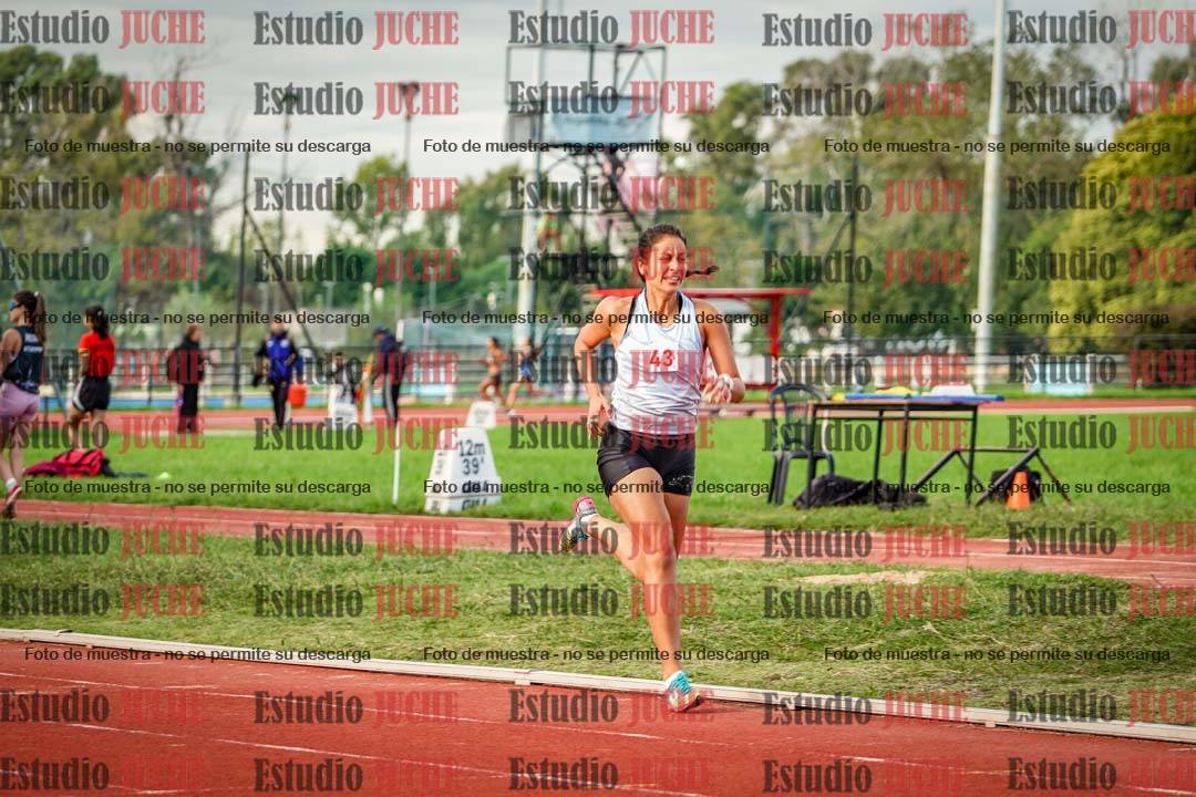 Fotos de los 1500 m llanos de mujeres