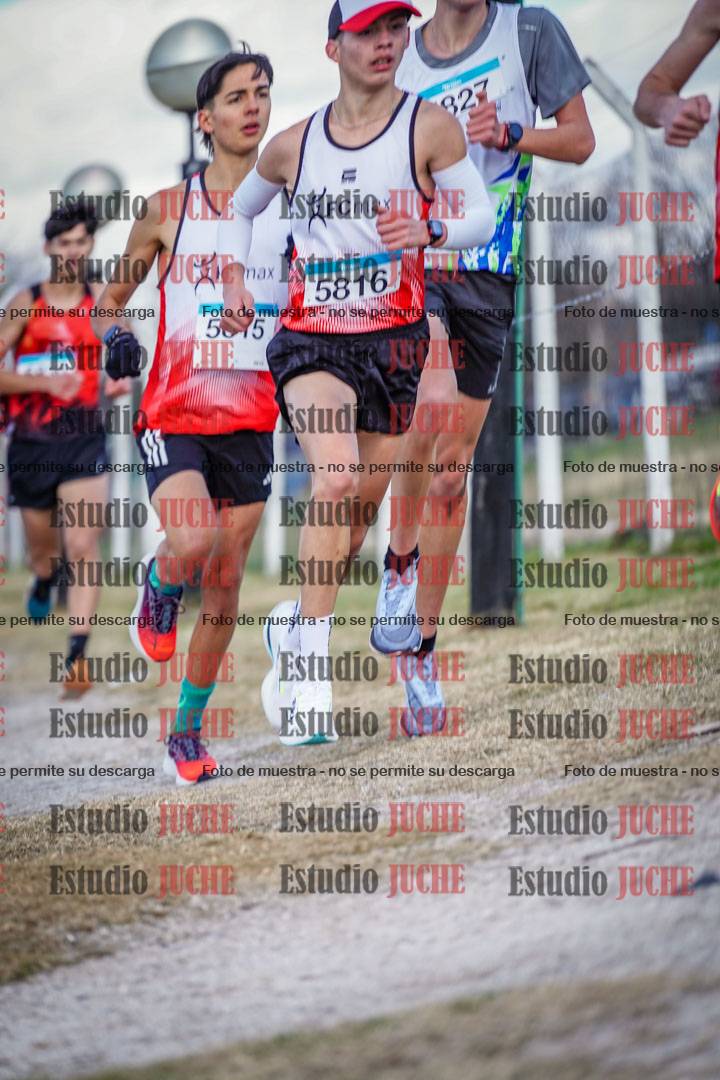 Fotos en el circuito