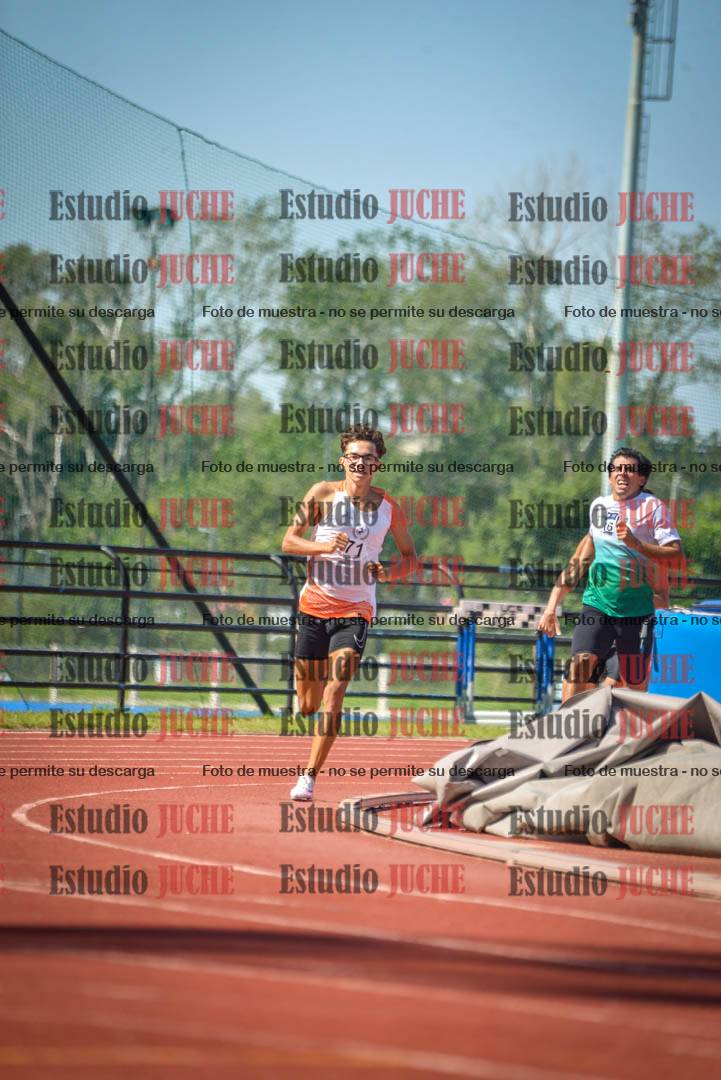 Fotos de los 800 m llanos de varones