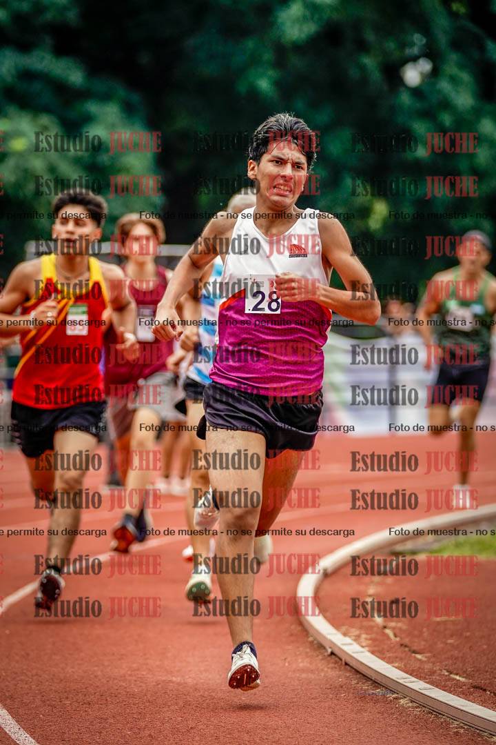 Fotos de los 800 m de varones