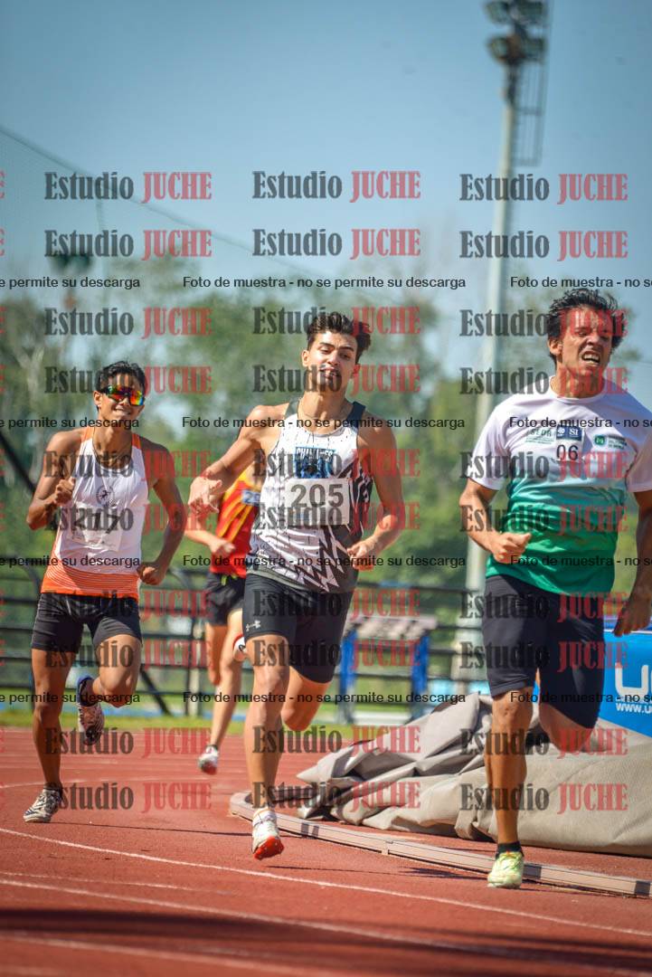 Fotos de los 800 m llanos de varones