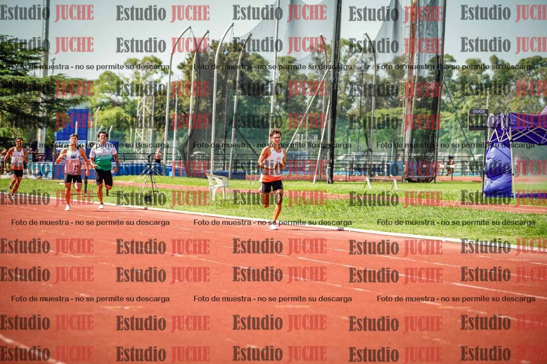 Fotos de los 800 m llanos de varones