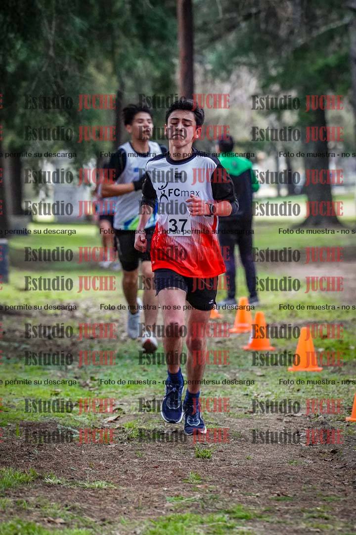 Fotos en el circuito