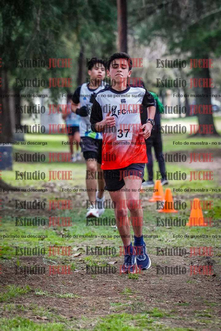 Fotos en el circuito