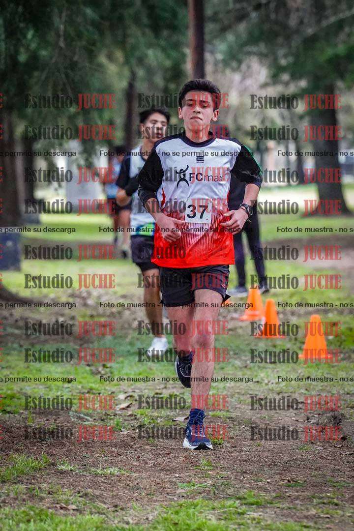 Fotos en el circuito