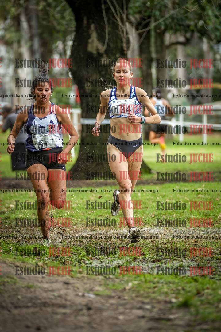 Fotos en el circuito