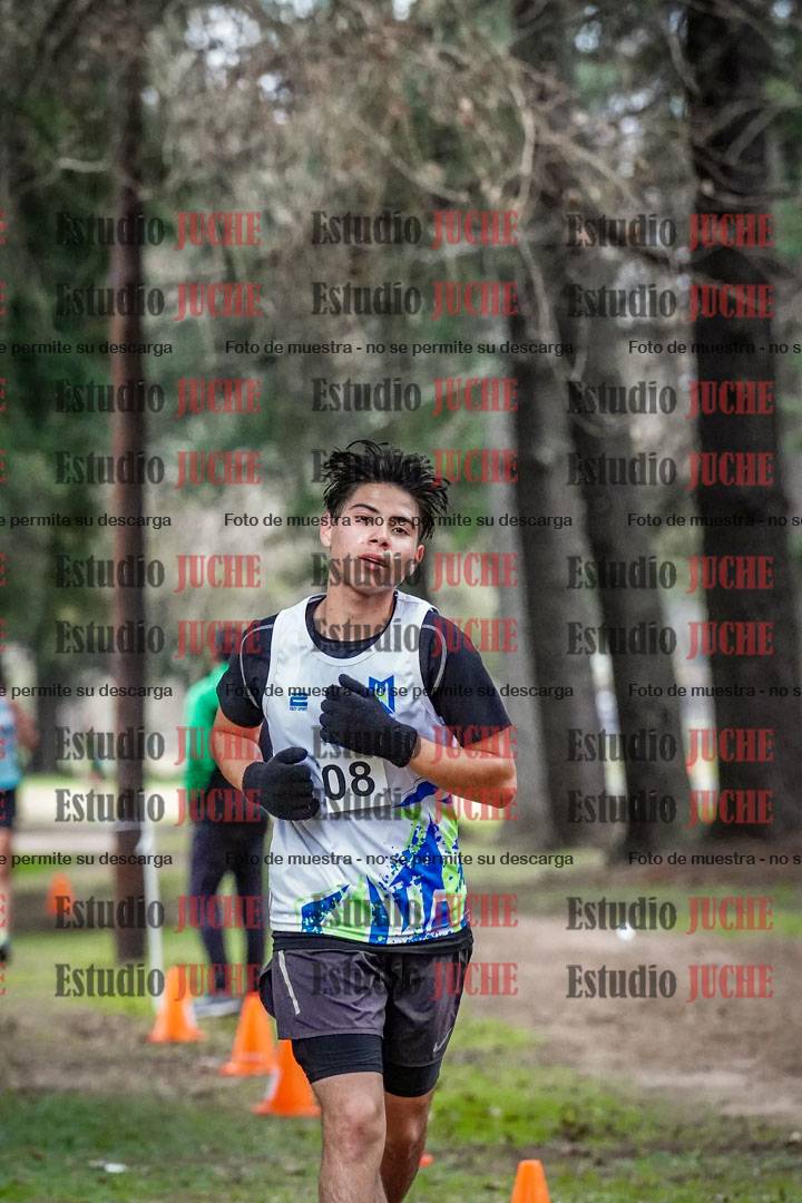 Fotos en el circuito