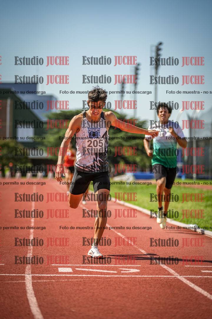 Fotos de los 800 m llanos de varones