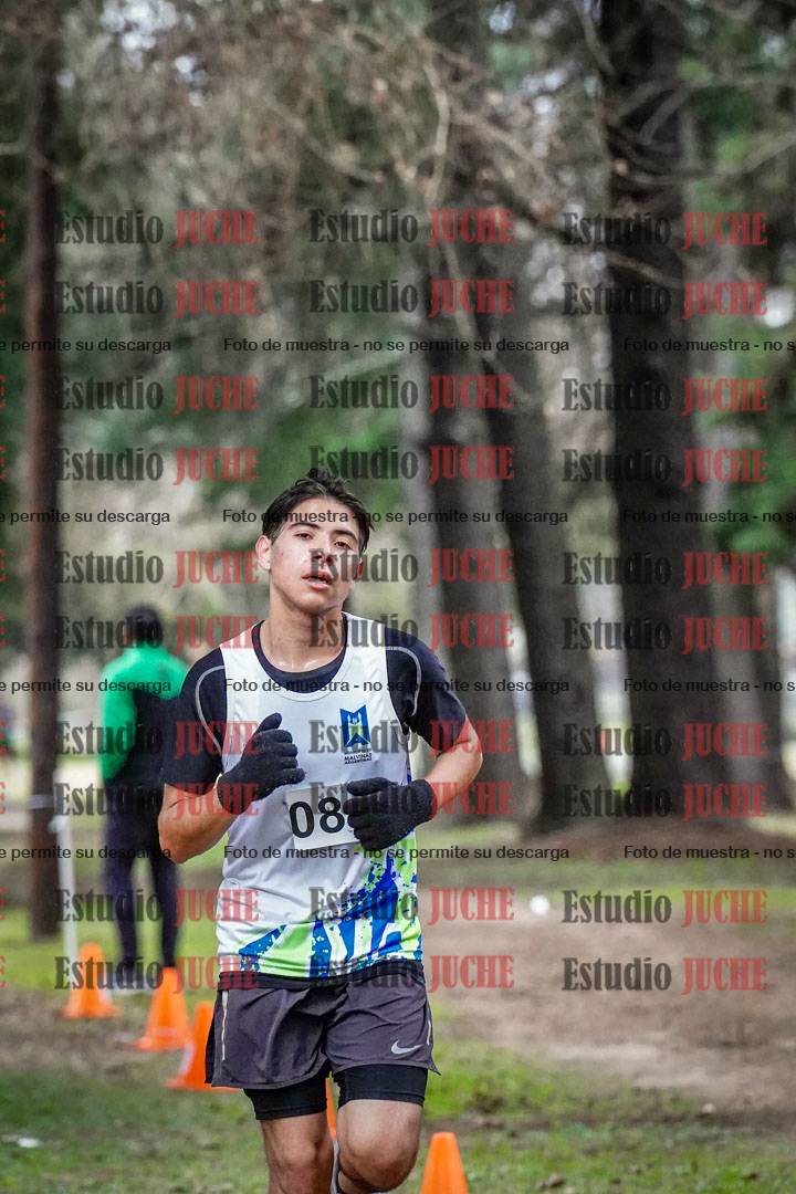 Fotos en el circuito