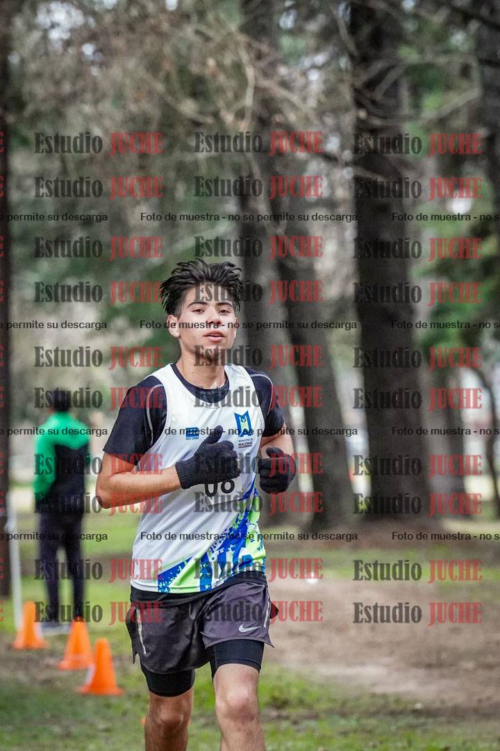 Fotos en el circuito