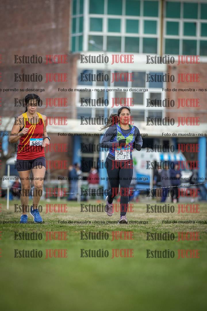 Fotos en el circuito