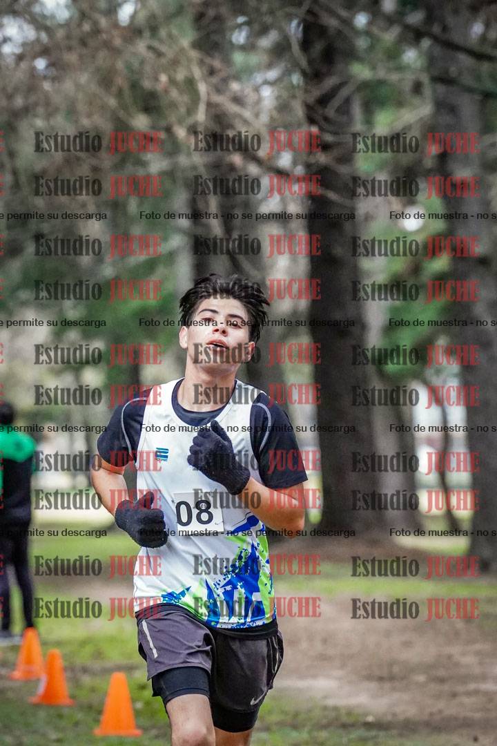 Fotos en el circuito