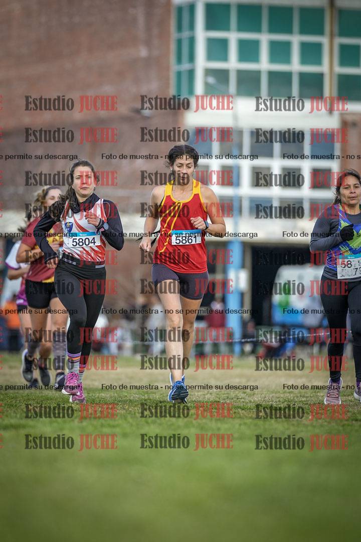 Fotos en el circuito