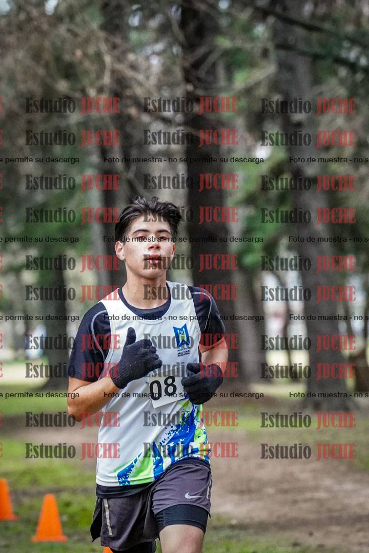 Fotos en el circuito