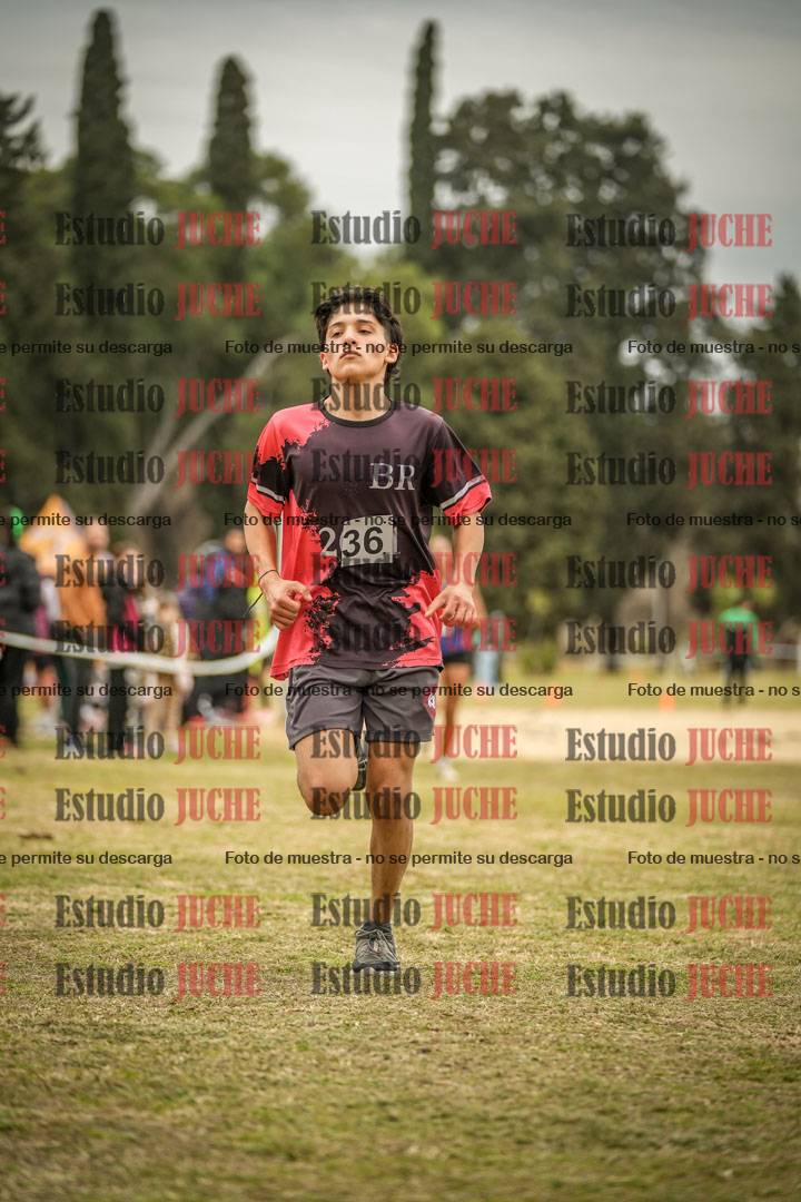 Fotos de la llegada