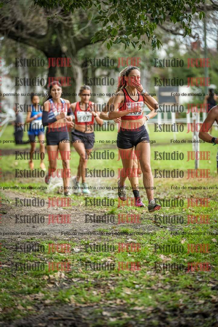 Fotos en el circuito